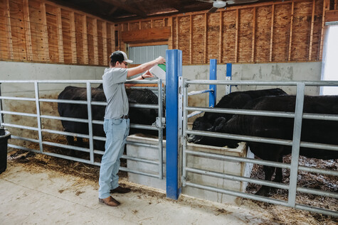 Agriculture & Livestock Production Image